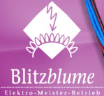 Logo der Firma Blitzblume